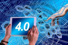 网站运营与技术支持